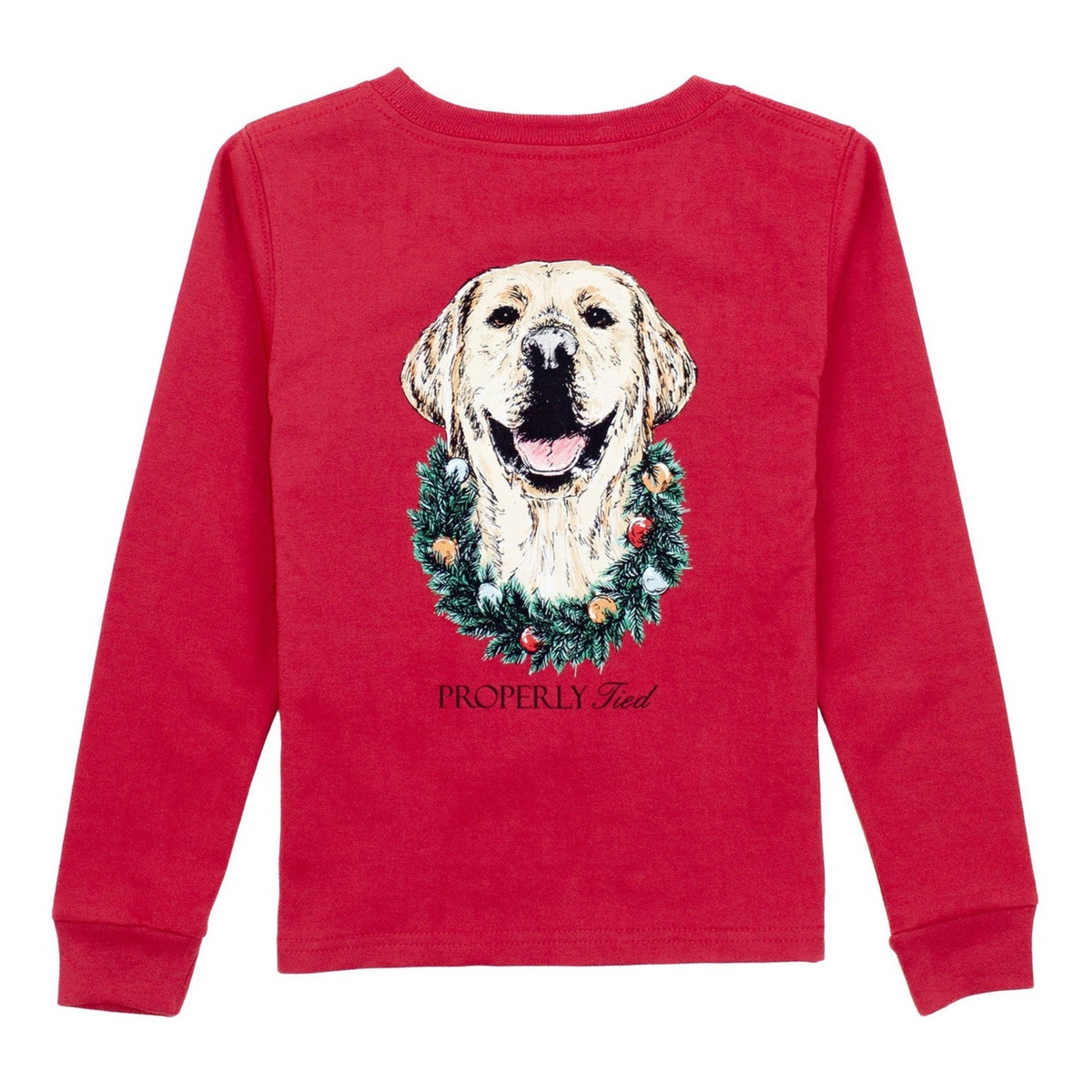 Boys Long sleeve- Deck the Paws